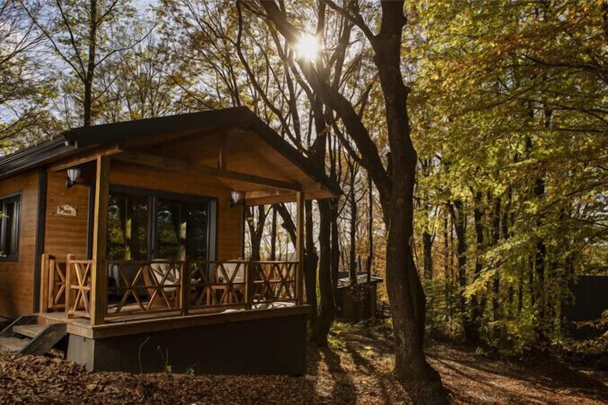 A cabin with a wooden deck and large windows, surrounded by trees and a forested area.