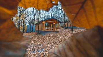 标准树屋 | 高档床上用品、Select Comfort 床、迷你吧(备有免费物品)、客房内保险箱