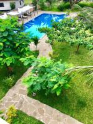 Property grounds - Flametree Beach Homes (Diani Beach)