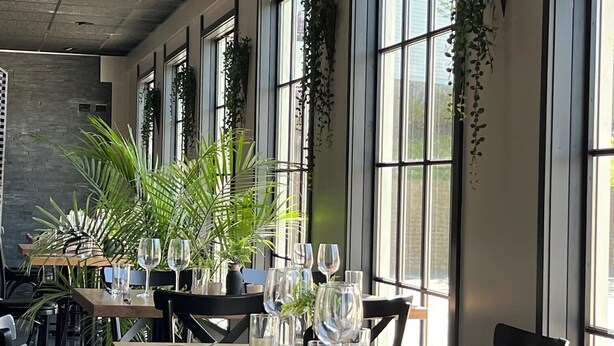 A restaurant with long tables, chairs, and hanging plants. - The Federal (Brunswick)