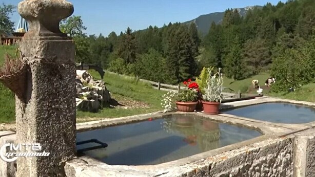 A stone structure with a water feature, surrounded by greenery and potted plants.