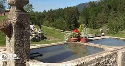 Two-room apartment near the woods