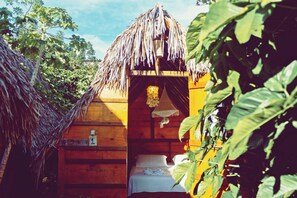 Free WiFi - Raiz Hostel (Jijoca de Jericoacoara)