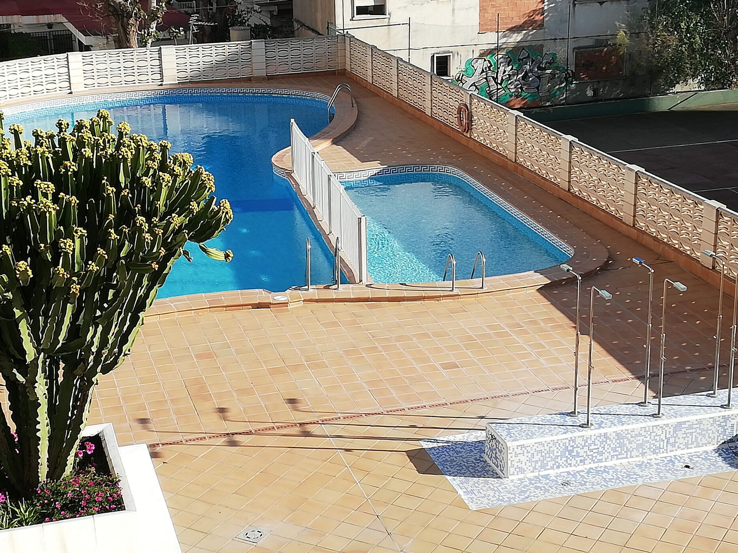 A swimming pool with a tiled deck and a cactus plant.