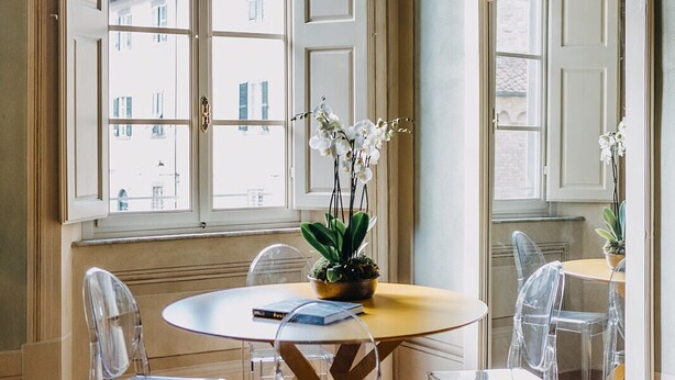 A room with a round table, two chairs, a potted plant, and a large window. - Palazzo Feroci (Pisa)