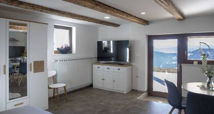 Studio 1111 With Sauna