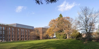 Comfortable Ensuite rooms - GUILDFORD - Campus Accommodation