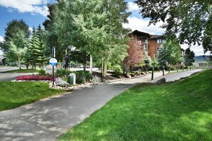 Property grounds - Lake View! 3 Kings. Elevator, Hot Tubs. Walk/Drive to Dining, Events, Marina (Frisco)