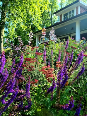 Stroll through a serene garden surrounded by mature trees and vibrant flowering plants.
