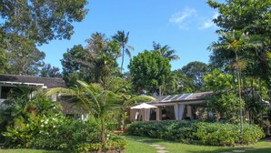 Un giardino tropicale con un vialetto che conduce a un edificio con tetto spiovente e pannelli solari.