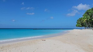 Una spiaggia con acque cristalline turchesi, una riva sabbiosa e alcune palme.