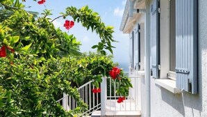 Un balcón con baranda blanca, vista al mar y flores rojas en las plantas.