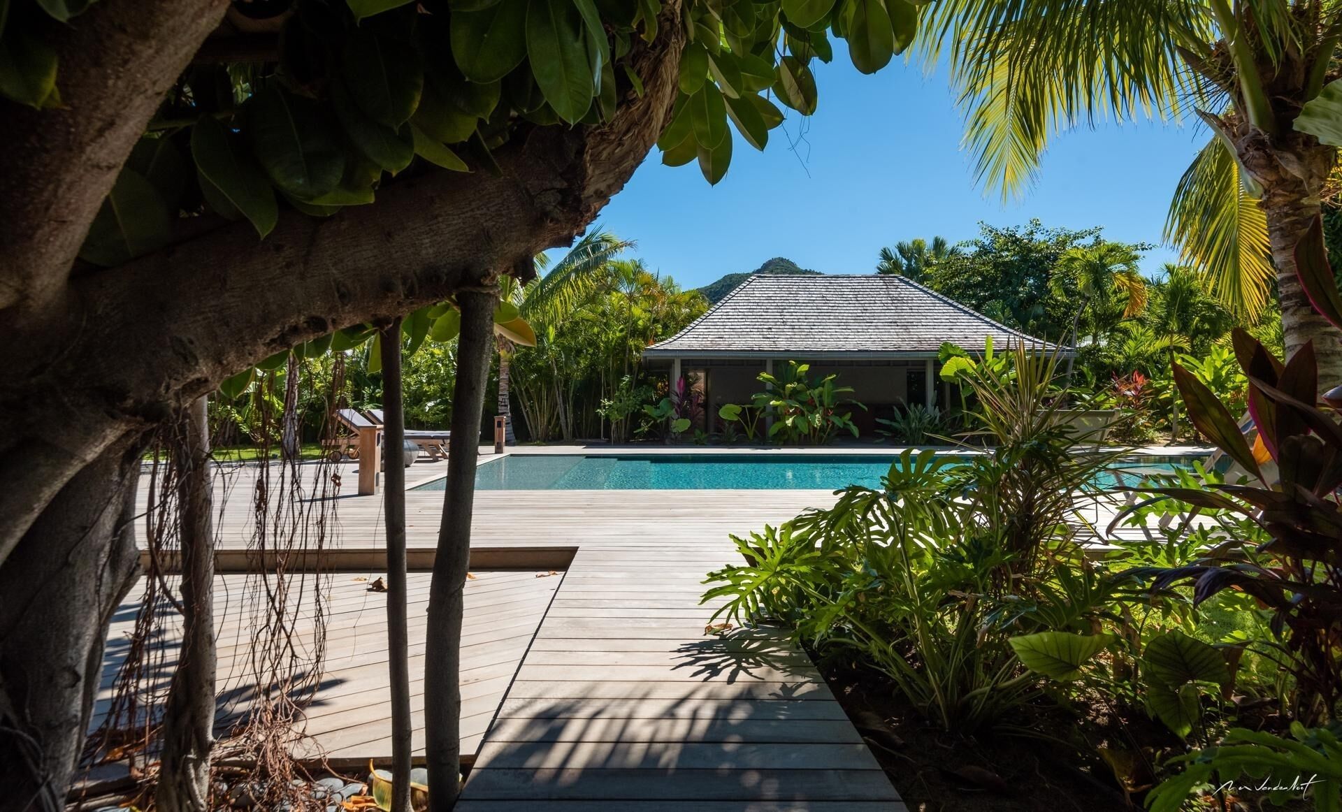 A wooden deck leading to a swimming pool with a house in the background surrounded by tropical vegetation.