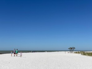 A sandy beach with a clear sky and calm sea. - Tranquil Locale Dog Friendly Dunedin Causeway (Dunedin)