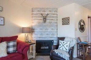 Televisión, chimenea, reproductor de DVD