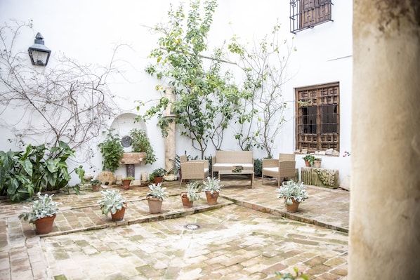 Terras