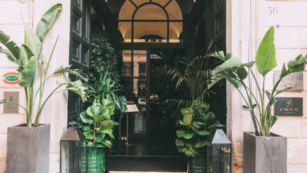 A hotel entrance with a cobblestone pathway, large potted plants, and a sign indicating room number 36.