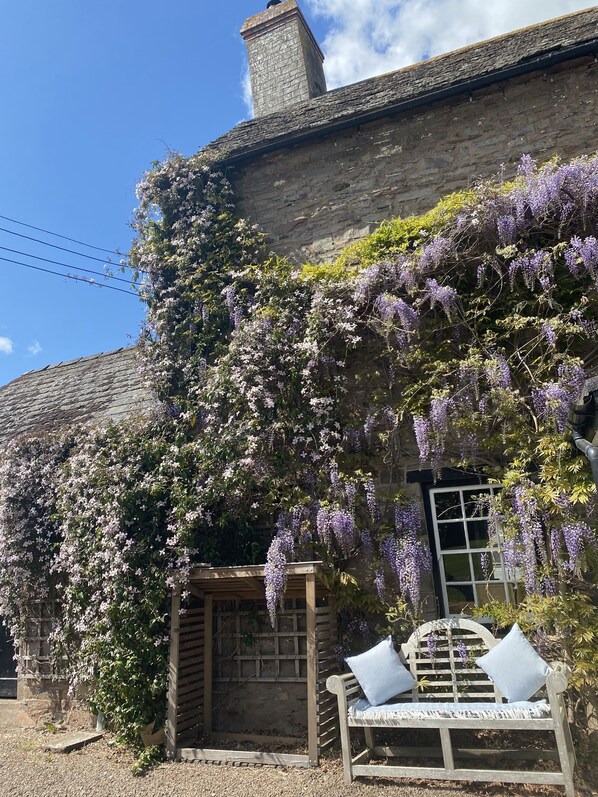 Garden - Three Cocks Hotel (Brecon)