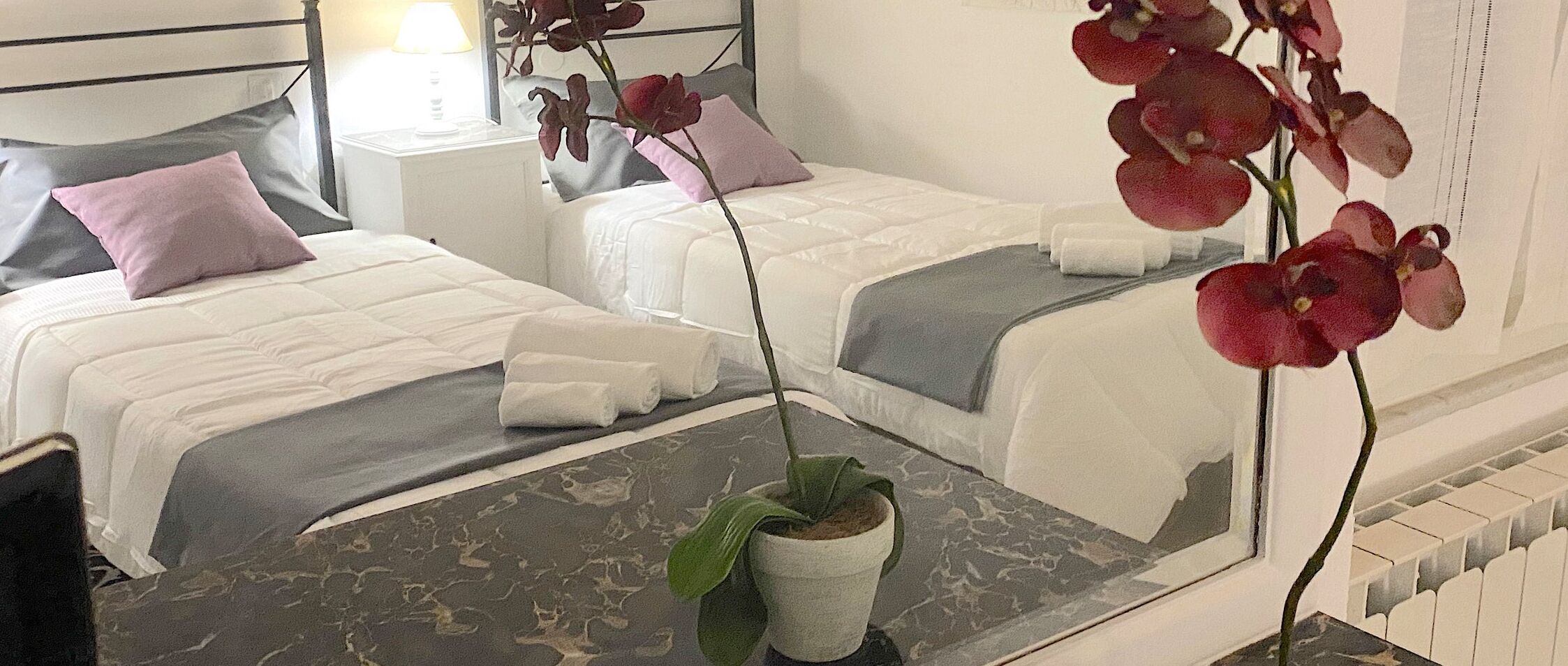 Casa CEO beautiful apartment in the center with private parking