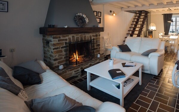 Télévision, cheminée, lecteur de DVD