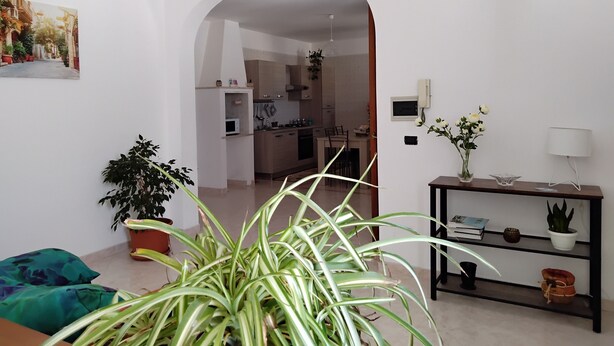 Un salon comprenant un canapé, une table basse, un téléviseur, une plante, et une cuisine visible à travers une arche.