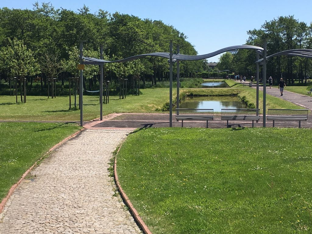 A paved pathway leading to a park area with benches and a pond.