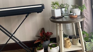 Une pièce décorée d’un tableau représentant un bateau sur l’eau, d’un clavier et de diverses plantes en pot.