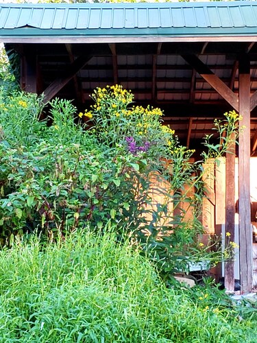 Large Farm Cabin with Private Pond in the middle of Cow Fields & Wildflowers