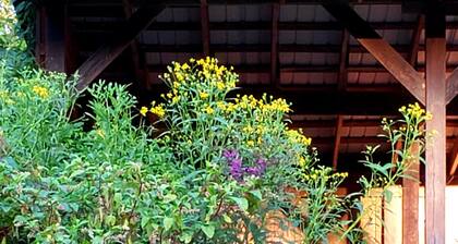 Large Farm Cabin with Private Pond in the middle of Cow Fields & Wildflowers