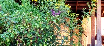 Large Farm Cabin with Private Pond in the middle of Cow Fields & Wildflowers
