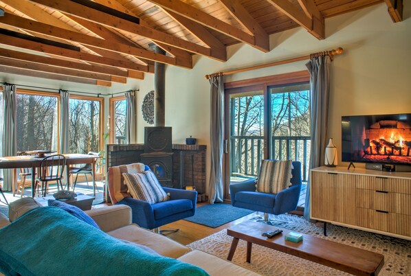 TV, fireplace - Big Mountain View’s - Hiking - Quite Nature Emerson (Swannanoa)