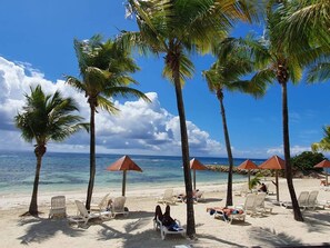 A beach with palm trees, lounge chairs, and umbrellas. - Martial Tropiques Holiday Village, Sainte-Anne: OCEAN VIEW Studio—Renovated (Sainte-Anne)