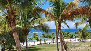 Escena de playa tropical con palmeras y una vista despejada del océano.