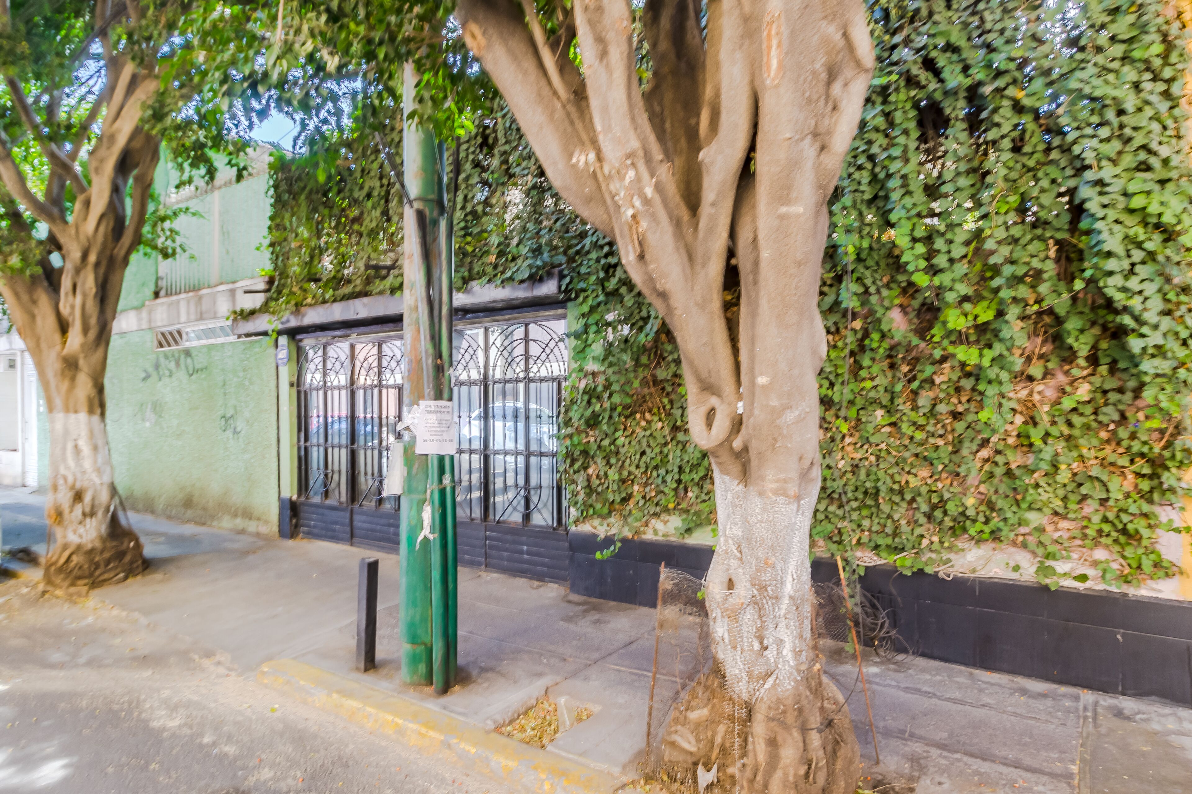 Foto - Ayenda Los Colorines de Coyoacán