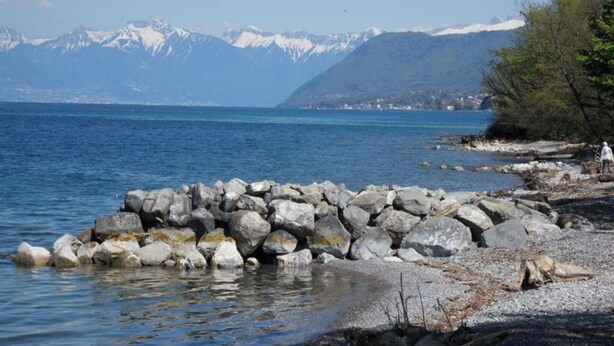 Un rivage rocheux offrant une vue dégagée sur des montagnes enneigées en arrière-plan.
