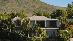A modern two-story house with large windows, surrounded by lush greenery and palm trees.