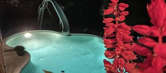 The Suite Potato: a splashtastic one room suite