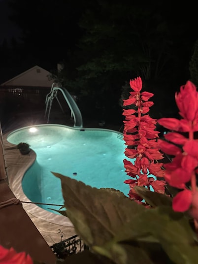 The Suite Potato: a splashtastic one room suite