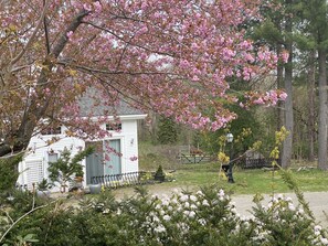 Property grounds - circa 1880 Antique Cottage on Nine Acre Horse Farm (Sudbury)