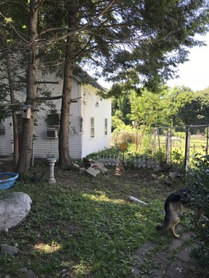 Property grounds - circa 1880 Antique Cottage on Nine Acre Horse Farm (Sudbury)