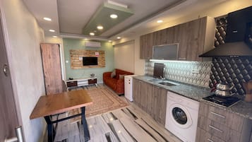 Cleaning supplies, freezer, ice maker
