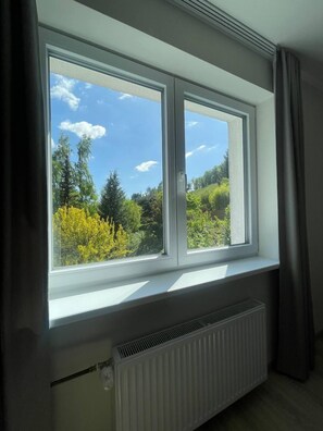 Chambre Standard Double ou avec lits jumeaux