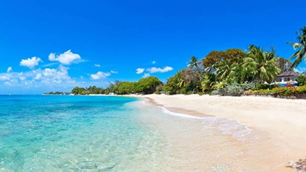 Ein Strand mit klarem türkisblauem Wasser, weißem Sand und üppiger Vegetation.