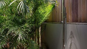 Een kamer met een houten deur en een grote potplant.