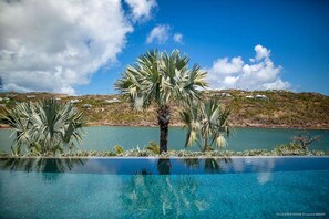 A clear blue pool with palm trees and a view of a hillside with houses.