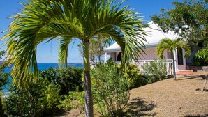 A coastal property with a white building, a palm tree, and a view of the ocean. - Sucrier (1/2 Rooms) Luxury villa (Lorient)