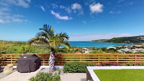 Un patio con una parrilla, una palmera y vistas al océano y a un pueblo en la colina.