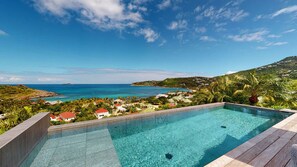 A pool with clear blue water, surrounded by lush greenery and overlooking a coastal area with houses and hills. - Nita (2/3 Rooms) Luxury villa (St. Barts)