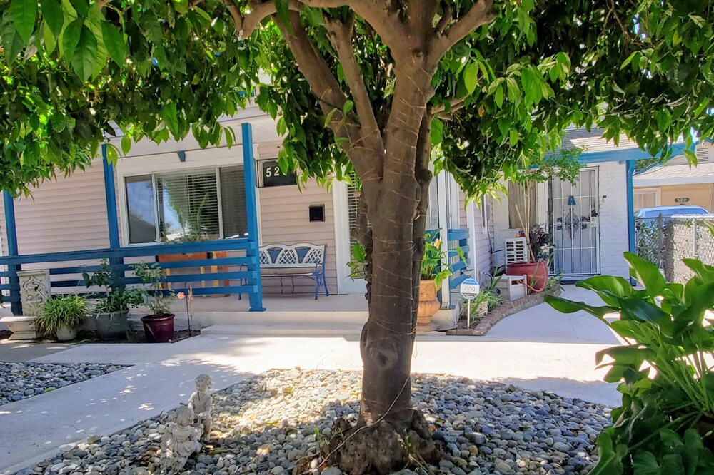 New 1 bed 1 bath Comfortable Adorable Bright property. Very Centrally Located