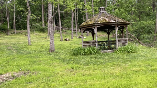 Ein Pavillon in einer grünen Wiese, umgeben von Bäumen.